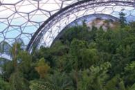 Inside the rainforest Biome at the Eden Project