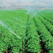 Water irrigating agricultural crops