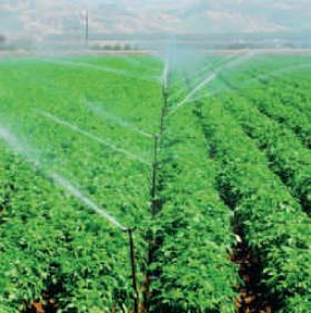 Water irrigating agricultural crops